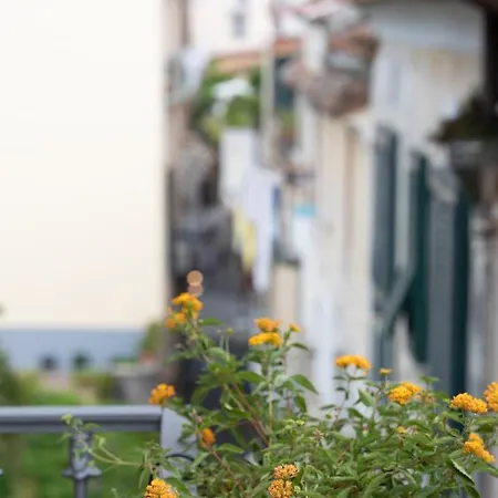 Sami Appartement Sorrente