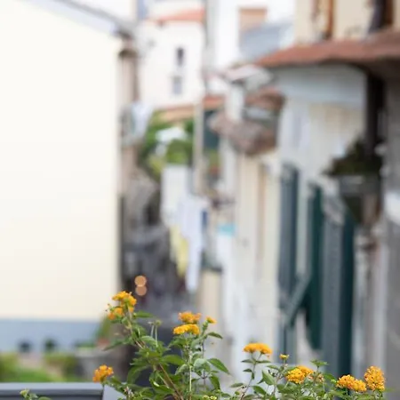Sami * Sorrento